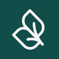 Sapling Digital logo - Similar company to Pine Creative Inc.