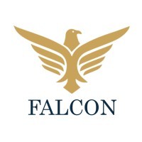 Falcons Grup logo - Similar company to Falcon Group