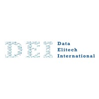 Data Elitech International Pvt Ltd. logo - Similar company to Data Team Solutions