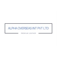 Alpha Overseas International Pvt. Ltd. logo - Similar company to Steadfast