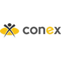 Conex - Tecnologia Em Gestão