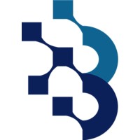 BluSonet logo - Similar company to Work Life Consults