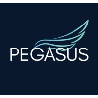 Pegasus Strategy Co. logo - Similar company to Puffyn