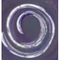 Akasha Consulting Ltd logo - Similar company to Akash Consultancy