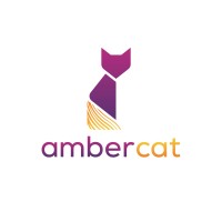Ambercat_Beyond Education logo - Similar company to Translatedselves