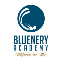 BLUENERY ACADEMY logo - Similar company to Felsa