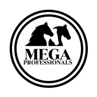 Mega Professionals logo - Similar company to Mega Online Logistics