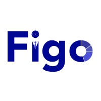 Figo Solutions logo - Similar company to Knack.Io