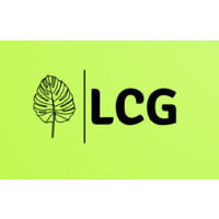 Lime Group logo - Similar company to The Lime Group International