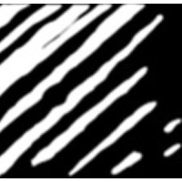 HÅJ Transporter AB logo - Similar company to Express Nord