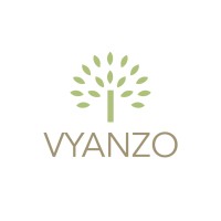 VYANZO Development logo - Similar company to Ci Coaching