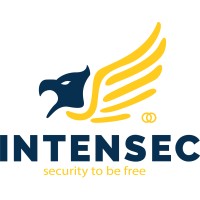 INTENSEC logo - Similar company to Teachbit.Ro