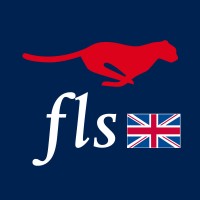 FLS - FAST LEAN SMART logo - Similar company to Solvares Group