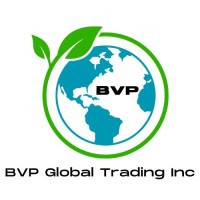BVP Global Trading Inc logo - Similar company to Kriwininternational
