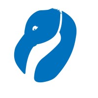 Blue Flamingo logo - Similar company to Webreact