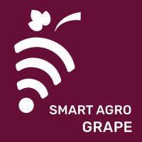 SMART AGRO GRAPE logo - Similar company to Management Nightmares