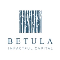 Betula Partners logo - Similar company to Exotic.Vc - Your Bizdev In Africa