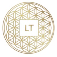 LT RISKMGMT logo - Similar company to G-Academy By G-Stat