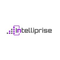 Intelliprise LLC logo - Similar company to Smb It