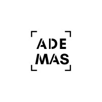 Además Consulting logo - Similar company to Light-Year