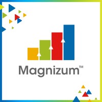 Magnizum ProLearn logo - Similar company to Prolearn