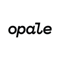 Opale Architectes logo - Similar company to Exeo Consult Srl