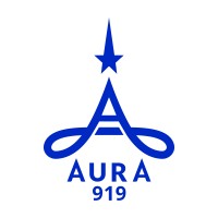 AURA 919 logo - Similar company to The Black Parade Creative