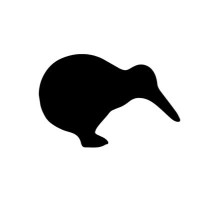 Drive Kiwi logo - Similar company to M O R S I N K H O F