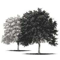 Elm Creek Environmental & Engineering logo - Similar company to Wright Environmental Systems Inc.