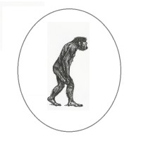 Crypto-Sapiens.fr logo - Similar company to Crypto Week Madrid