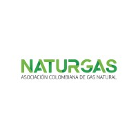 Naturgas logo - Similar company to Asocodis