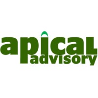 Apical Advisory