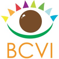 BCVI Belize logo - Similar company to Dg Trainer