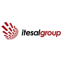 Itesalgroup Systems Co. logo - Similar company to Alessa Technical Services