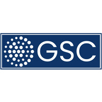 Global Strategy Consulting Group logo - Similar company to Lingoscope