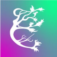 Enlivy S.R.L. logo - Similar company to Fusepress