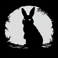 Rabbit Hole Pictures logo - Similar company to Rabbithole Studio