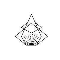 First Light Solutions logo - Similar company to Flt
