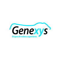 Genexys logo - Similar company to Mayfer.Dev