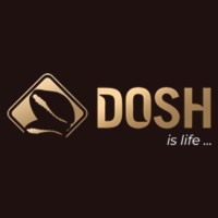 DOSH Revolution logo - Similar company to Kingscel Technologies