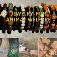 Jewelry for animal welfare logo - Similar company to Gemstones And Rings