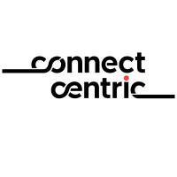 Connect Centric logo - Similar company to Dane, Llc