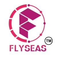 Flyseas Group logo - Similar company to Matrytech Solutions
