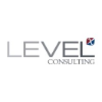 Level X Consulting