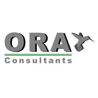 Ora Consultants logo - Similar company to Gest'Rh