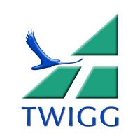 Twigg USA logo - Similar company to Geographic Business Solutions Us Ltd. (Gbs Usa)