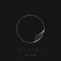 METAPHOR-X logo - Similar company to Videarium