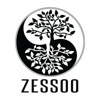 Zessoo logo - Similar company to Ikaroa