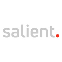 Salient Digital logo - Similar company to Brandswift