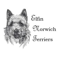 Elfin Norwich Terriers logo - Similar company to 4A Arts (American Alliance Of Artists And Audiences)